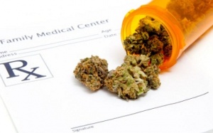 Có nên thúc đẩy ứng ụng của cần sa trong y tế?