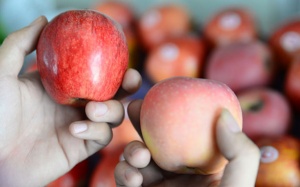 Điểm danh 5 loại quả chứa nhiều hóa chất nhất