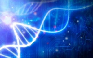 Gene + Môi trường = Đái tháo đường