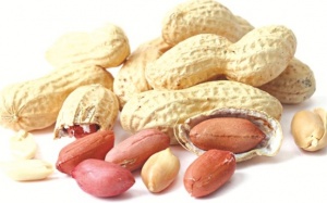 Lạc: Thuốc hạ mỡ máu tự nhiên