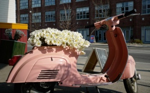 Mách bạn cách tặng quà khiến vợ ngất ngây