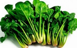 Bài thuốc hỗ trợ trị đau nhức xương khớp