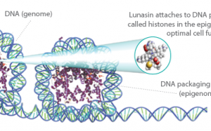 Lunasin - Protein quý từ đậu tương