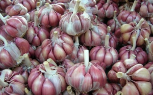 7 lý do nên ăn tỏi