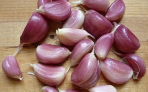 Chiết xuất tỏi ngừa vi khuẩn kháng thuốc