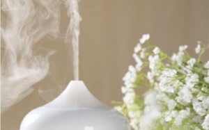 11 mẹo tự nhiên giữ nhà thơm mát quanh năm