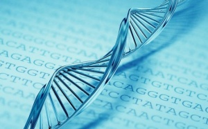 Phát hiện 'thủ phạm' gây loãng xương cho người Việt