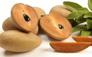 Suýt chết vì sặc hạt hồng xiêm