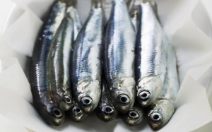 Omega – 7: Acid béo có lợi cho tim mạch còn bị lãng phí