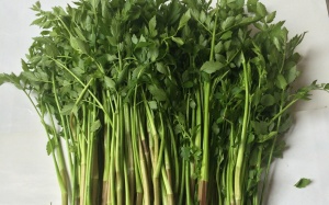 Công dụng chữa bệnh của rau cần ta