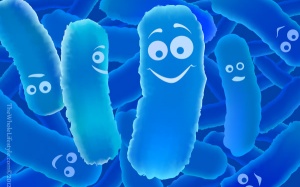 Hai mặt của lợi khuẩn probiotics