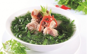 Món ngon lợi sữa với lá đinh lăng