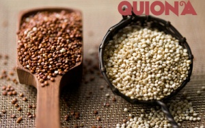 Infographic: Hạt quinoa - thực phẩm của tương lai