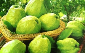 7 thực phẩm giúp bạn đẹp từ đầu đến chân 