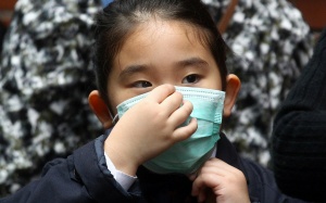 Hong Kong: 3 tháng, 400 người tử vong vì cúm gia cầm