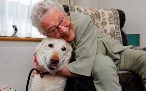 Tăng lợi khuẩn probiotics nhờ... chơi với thú cưng