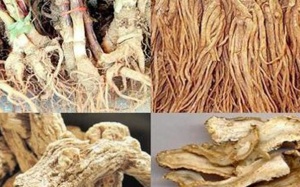 Bài thuốc chữa thiếu máu