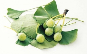 Cần tìm nguyên nhân gây bệnh trước khi dùng thuốc