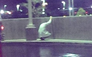 Bác sỹ gục khóc vì không cứu được người bệnh