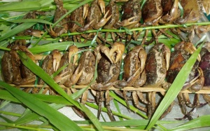 4 cách ăn cua đồng có hại cho sức khoẻ