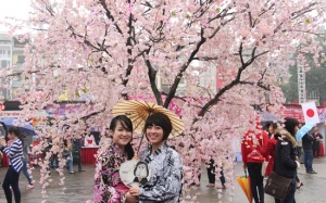 Lễ hội hoa Anh đào mang thông điệp hòa bình