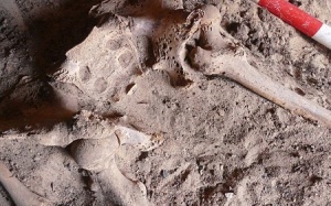 Xác ướp 4.200 năm mắc bệnh ung thư vú