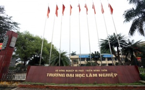 ĐH Lâm nghiệp: Cấm phát ngôn về cây xanh là lỗi... đánh văn bản