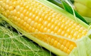 Đẹp từ đầu đến chân với ngô