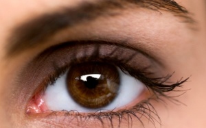 Phòng ngừa đục thủy tinh thể nên ăn gì?