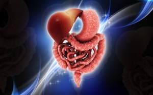 5 bí ẩn của hệ tiêu hoá