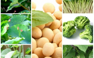 7 thảo dược quý xóa bỏ triệu chứng tiền mãn kinh
