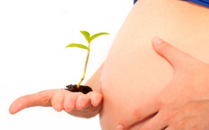 Thời điểm có bầu thích hợp sau 2 lần thai lưu?