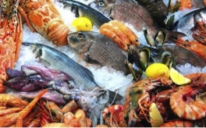 WHO cảnh báo mối nguy từ thực phẩm không an toàn