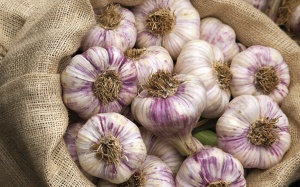 Tỏi có tác dụng tốt với bệnh nhân Alzheimer và Parkinson
