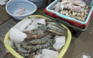 WHO báo động tồn dư kháng sinh trong thực phẩm tại Việt Nam