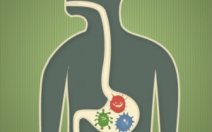 Probiotics có những dạng nào?