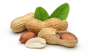 Cải thiện sức khỏe tim mạch nhờ ăn lạc