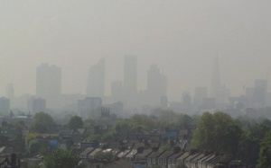 Thai nhi tổn thương não vì ô nhiễm môi trường