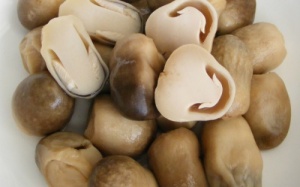 Nấm rơm ngừa ung thư, chữa bệnh liệt dương