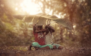 Những hình ảnh khiến bạn muốn “mua một vé đi… tuổi thơ”