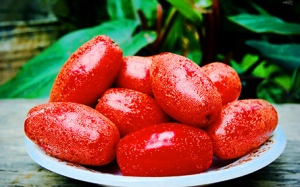 Những ai không nên ăn quả nhót?