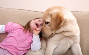 Chó là vật nuôi trung gian gây viêm dạ dày ruột cho người?