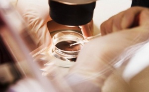 Tìm ra cách tái tạo cơ tim