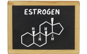 Estrogen không chỉ có trong cơ thể