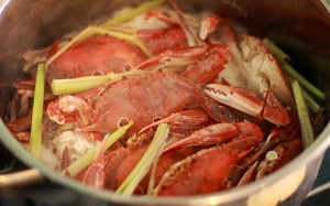 10 lợi ích đáng ngạc nhiên từ bia dành cho bà nội trợ