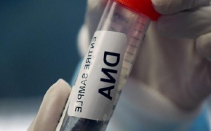 Gene nhân tạo được dùng để chữa bệnh nguy hiểm