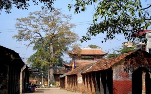 Thăm ngôi làng cổ duy nhất còn sót lại của phố Hiến