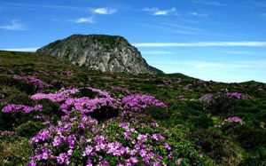 15 cảnh đẹp 'mê hồn' không thể bỏ qua khi đến Hàn Quốc