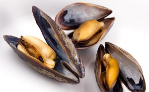 Tác hại khôn lường ít ai biết của trai, hến