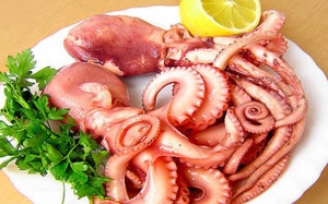 Bạch tuộc: Món ăn ngon, tốt cho sức khoẻ